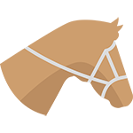 Horse Racing