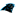 Carolina Panthers