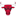 Chicago Bulls