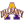 Albany Basketball