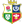 British and Irish Lions Rugby