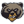Montana Grizzlies Football