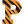 Princeton Football