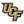 UCF Basketball