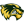 Utah Valley Basketball