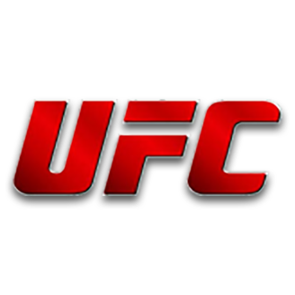 Image result for UFC