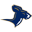 Akron Football