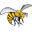 Alabama State Basketball