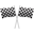 Motorsports