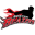 Boston Blazers
