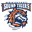 Bridgeport Sound Tigers