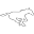 Calgary Stampeders