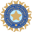 India Cricket