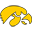 Iowa Hawkeyes Basketball