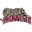 Lafayette Basketball