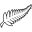 New Zealand (National Football)