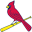 St Louis Cardinals