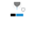 Swansea City