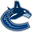 Vancouver Canucks