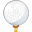 Women's Golf
