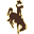 Wyoming Cowboys Football