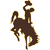 Wyoming Cowboys Football