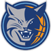 Charlotte Bobcats