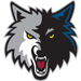 Minnesota Timberwolves