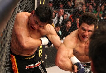 Img_8449a-8levsshamrock_crop_340x234