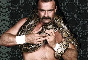Jake_roberts_crop_340x234