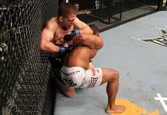 Lentzvstyson_crop_340x234