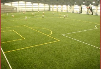 Field_45_crop_340x234