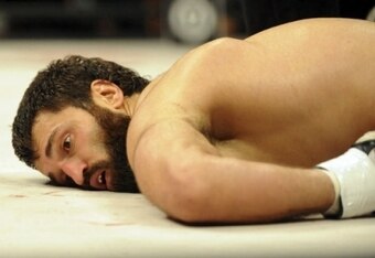 Knock-out_crop_340x234