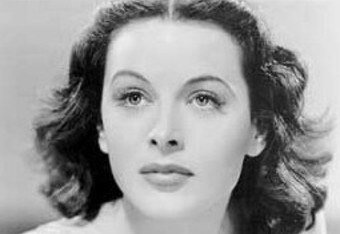 Tomorhedy_crop_340x234