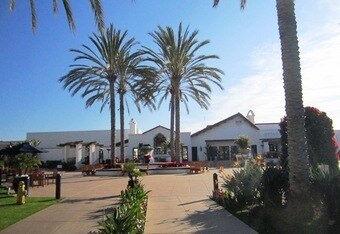 Fountainpalmtress2beautiful_crop_340x234