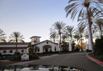 Palmtreesuponarrival_crop_340x234