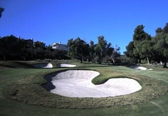 No6green_crop_340x234