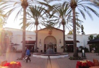 Fountainpalmtress2_crop_340x234