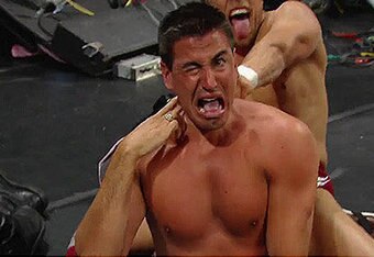 Imaw_wrestling_danielbryan0_crop_340x234