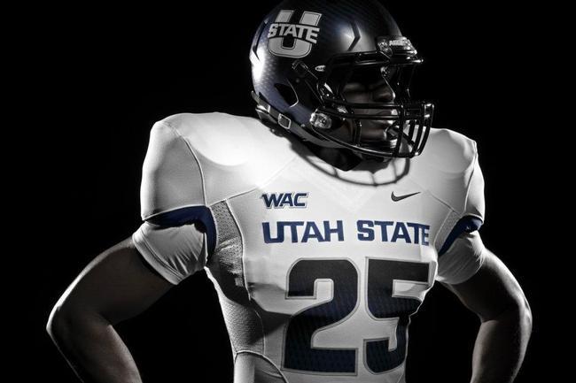 utahwhitwithdarkhelm_crop_650.jpg