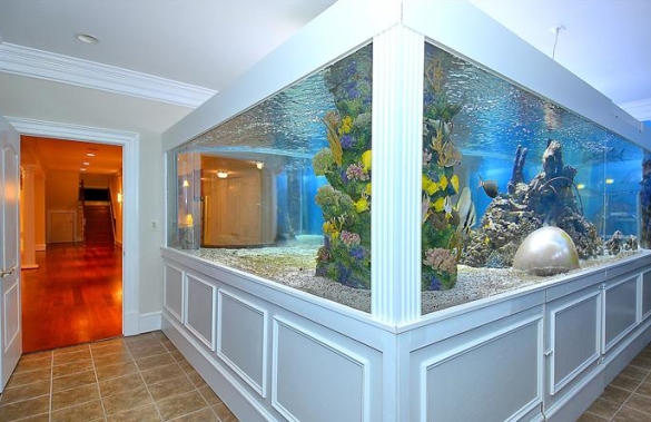 Gilbert Arenas Puts $3.5 Million Mansion On The Market, Shark Tanks 