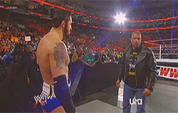 WWE 2014: What did I just watch? 29pdpmv_original