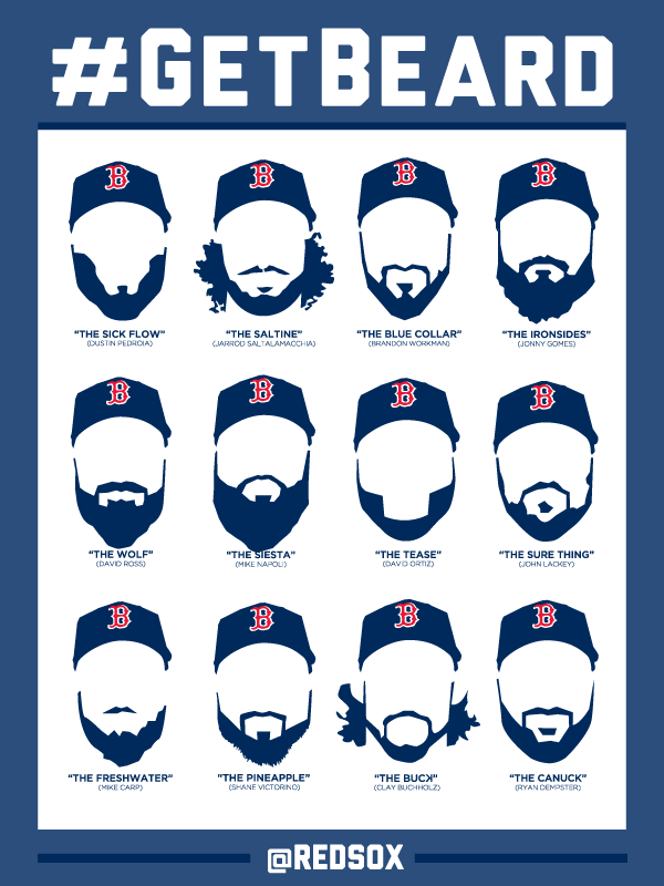 Beard Awesomeness Chart