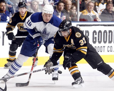 TORONTO - DECEMBER 19:  Wayne Primeau #18 of the Toronto Maple Leafs battles for the puck with Patrice Bergeron #37 of the Boston Bruins during game action December 19, 2009 at the Air Canada Centre in Toronto, Ontario, Canada. <br /><br /><span class="help">(Photo by Abelimages/Getty Images)</span>