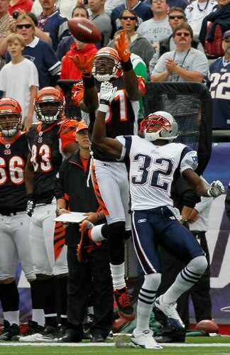 FOXBORO, MA - SEPTEMBER 12:  Terrell Owens #81 of the Cincinnati Bengals is unable to hold on to a pass against the defense of Devin McCarthy #32 of the New England Patriots during the NFL season opener  at Gillette Stadium on September 12, 2010 in Foxboro, Massachusetts. <br /><br /><span class="help">(Photo by Jim Rogash/Getty Images)</span>