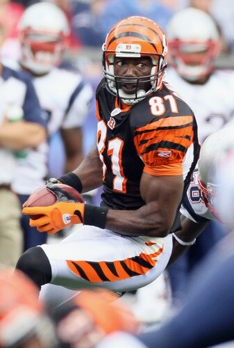 FOXBORO, MA - SEPTEMBER 12:  Terrell Owens #81 of the Cincinnati Bengals makes a catch in the first half against the New England Patriots during the NFL season opener on September 12, 2010 at Gillette Stadium in Foxboro, Massachusetts.  <br /><br /><span class="help">(Photo by Elsa/Getty Images)</span>