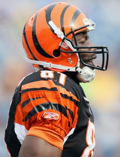 FOXBORO, MA - SEPTEMBER 12:  Terrell Owens #81 of the Cincinnati Bengals walks off the field in the fourth quarter against the New England Patriots during the NFL season opener on September 12, 2010 at Gillette Stadium in Foxboro, Massachusetts. The Patriots defeated the Bengals 38-24.  <br /><br /><span class="help">(Photo by Elsa/Getty Images)</span>