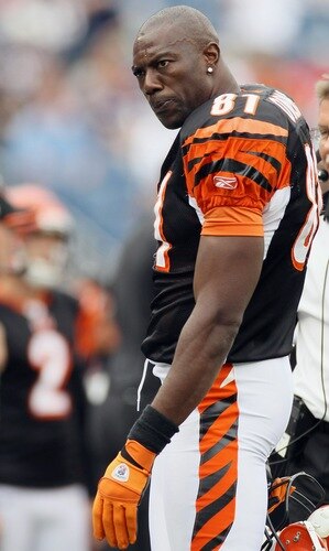 FOXBORO, MA - SEPTEMBER 12:  Terrell Owens #81 of the Cincinnati Bengals walks off the field in the fourth quarter against the New England Patriots during the NFL season opener on September 12, 2010 at Gillette Stadium in Foxboro, Massachusetts. The Patriots defeated the Bengals 38-24.  <br /><br /><span class="help">(Photo by Elsa/Getty Images)</span>