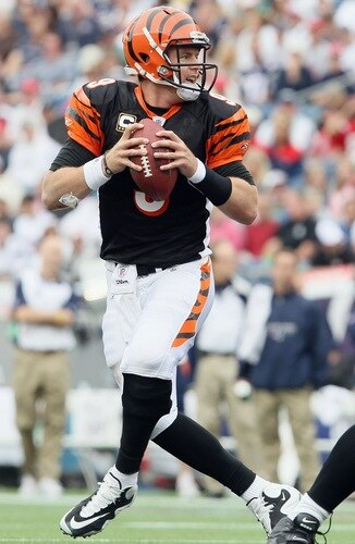 FOXBORO, MA - SEPTEMBER 12:  Carson Palmer #9 of the Cincinnati Bengals looks to pass against the New England Patriots during the NFL season opener on September 12, 2010 at Gillette Stadium in Foxboro, Massachusetts. The Patriots defeated the Bengals 38-24.  <br /><br /><span class="help">(Photo by Elsa/Getty Images)</span>