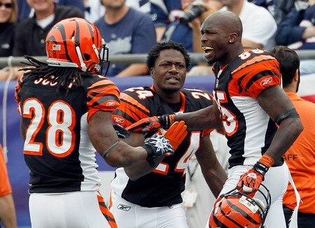 FOXBORO, MA - SEPTEMBER 12:  Chad Ochocinco #85 of the Cincinnati Bengals celebrates a touchdown catch with teammates Bernard Scott #28 and Adam Jones #24 in the second half during the NFL season opener at Gillette Stadium against the New England Patriots on September 12, 2010 in Foxboro, Massachusetts. (Jim Rogash/ Getty Images)<br /><br /><span class="help"></span>